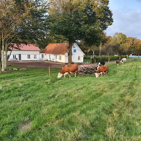 Slotsgaardens Feriegard. Apartament *